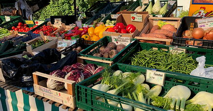 Gemüsestand auf dem Unterföhringer Wochenmarkt