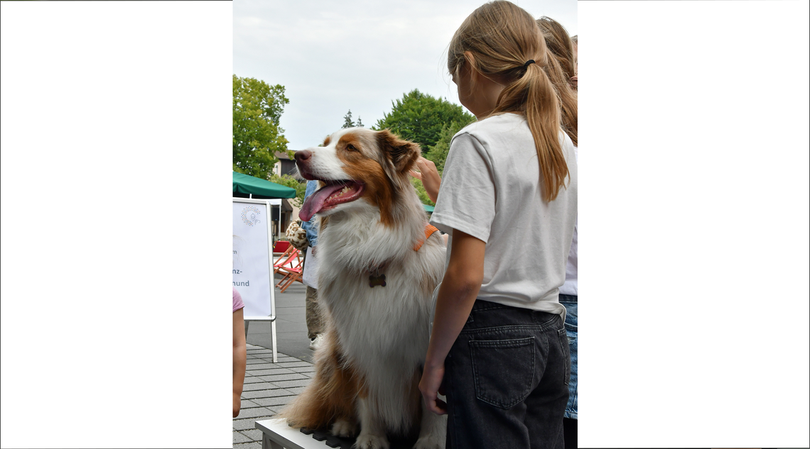 Ein Kind streichelt einen Hund.