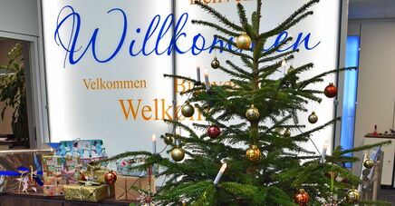 Weihnachtsbaumaktion