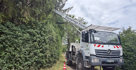 Abbildung der Arbeiten mit dem Fahrzeug an der Baumgrenze.